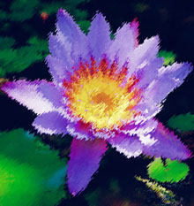 Imagen de una flor de loto