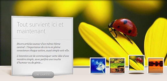 Image du site 'Sereinement' (http://fr.serena-mente.amarseaunomismo.com/)
