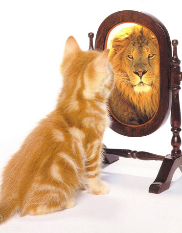 Imagen de un gato viéndose al espejo como si fuera un león