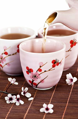 La ceremonia japonesa del té