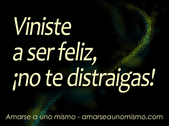 Viniste a ser feliz, ¡no te distraigas!