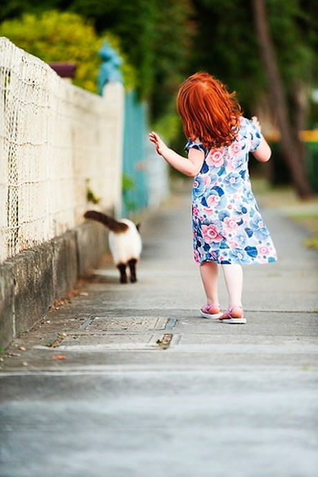 Foto de una niña y su gato caminando muy tranquilos