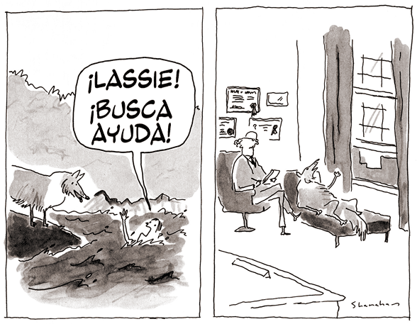¡Lassie! ¡Busca ayuda! Caricatura de Danny Shanahan